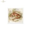 conjunto de papeles de arroz RSM225